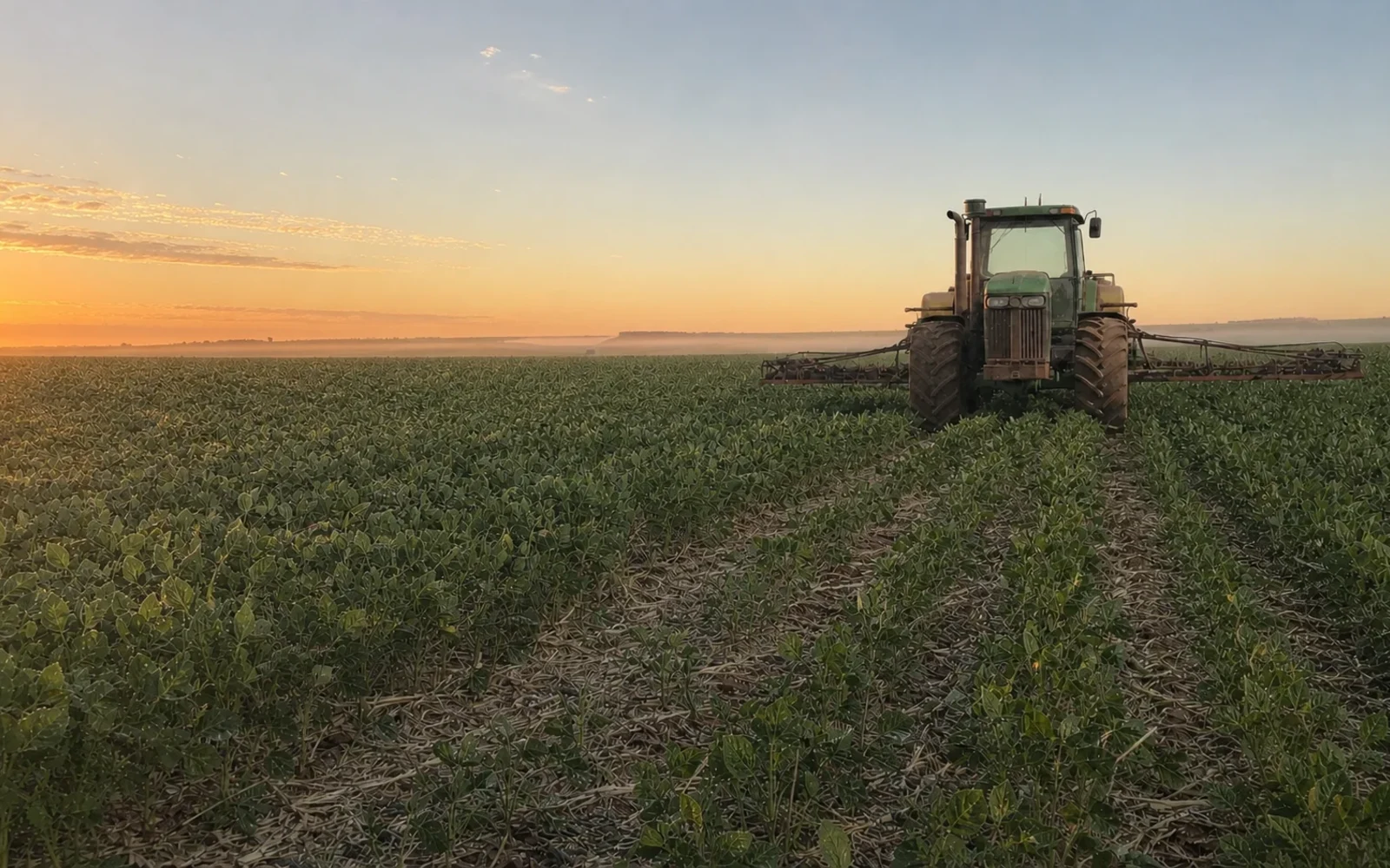 Tractor working a crop field at sunset, representing field status and agricultural work orders