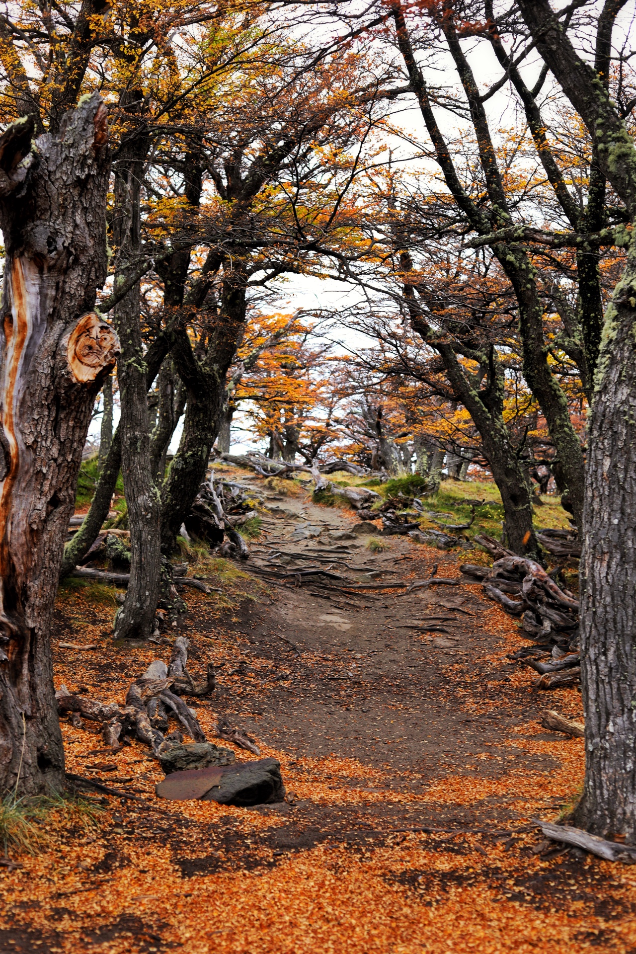 Working session at our Buenos Aires studio