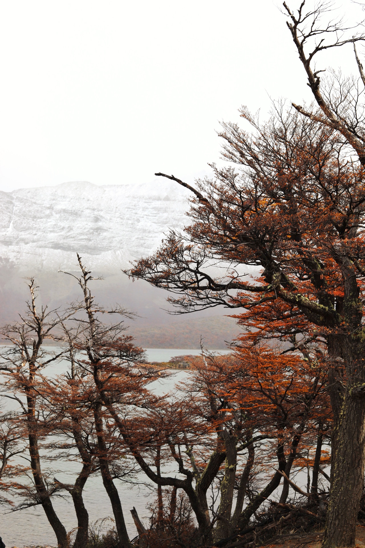 Our workspace in Buenos Aires